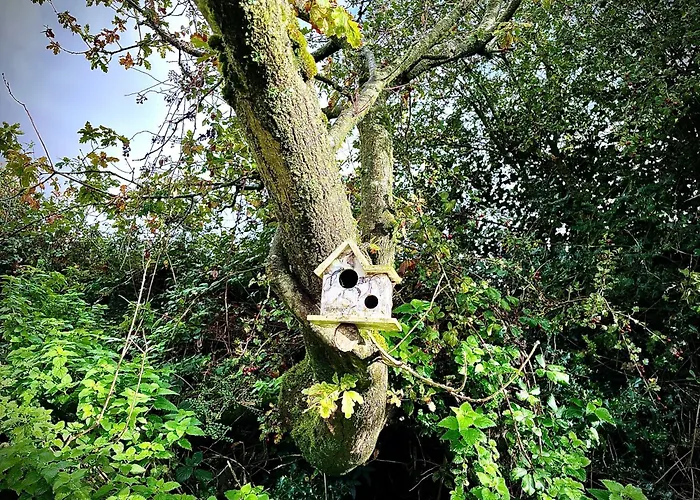 Primrose Cabin